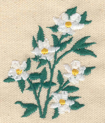 Embroidery Design: Pacific Dogwood 2.19w X 2.63h