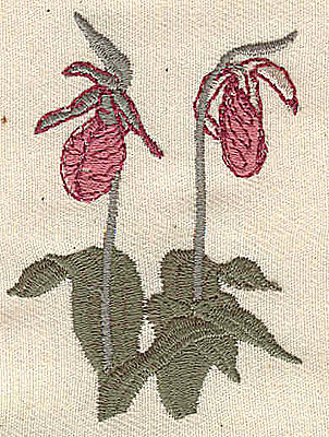 Embroidery Design: Lady's Slipper 1.75w X 2.20h