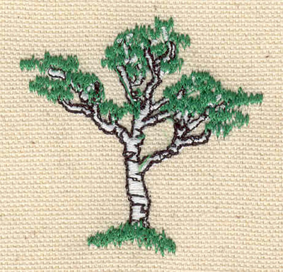 Embroidery Design: Birch Tree  2.00"h x 1.95"w