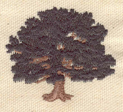 Embroidery Design: Tree E  1.74"h x 1.94"w